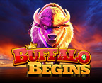 Buffalo Begins